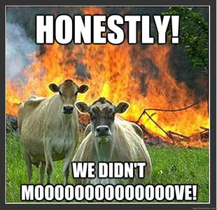 Evil cows