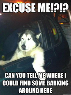 Mean Dog