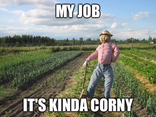 Scarecrow