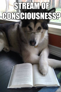Condescending Literary Pun Dog