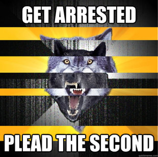 insane courage wolf