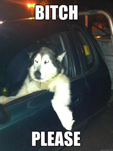 Mean Dog
