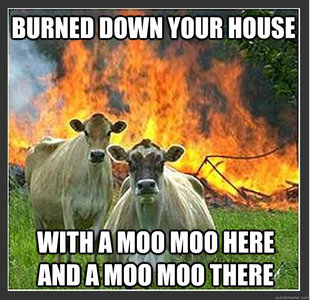 Evil cows