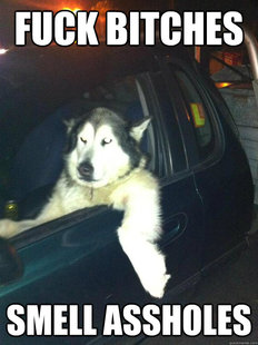 Mean Dog