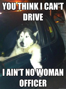 Mean Dog