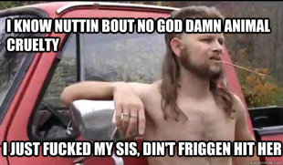 Almost Politically Correct Redneck