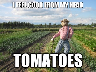 Scarecrow