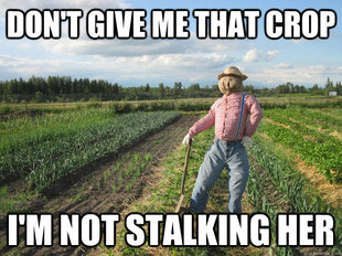 Scarecrow