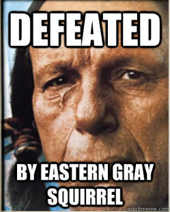Sad Native American