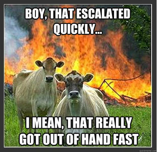 Evil cows
