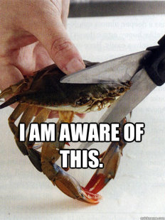 Optimistic Crab