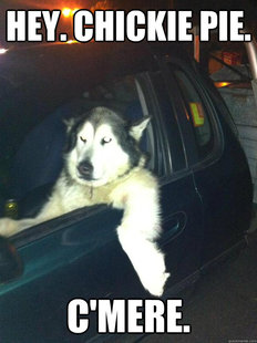 Mean Dog