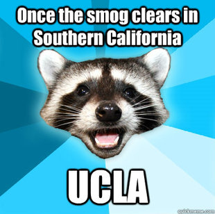 Lame Pun Coon