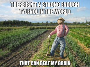 Scarecrow