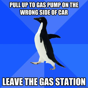 Socially Awkward Penguin