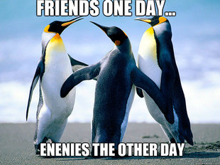 Friends