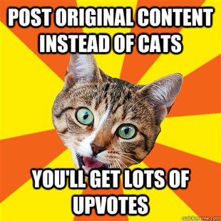 Bad Advice Cat
