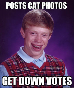 Bad Luck Brian