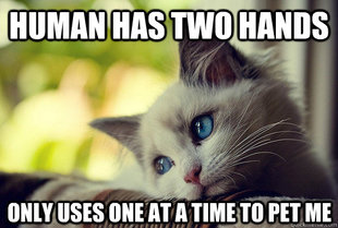 First World Cat Problems