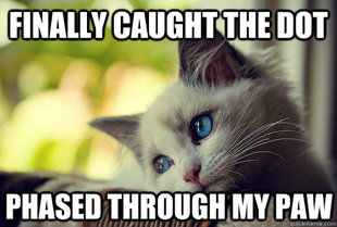 First World Cat Problems