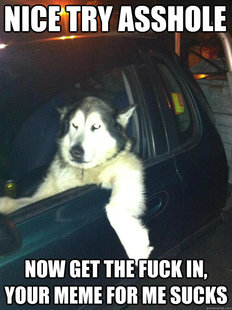 Mean Dog