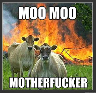 Evil cows