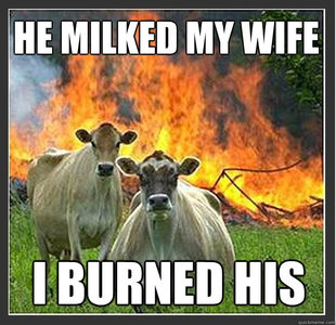 Evil cows