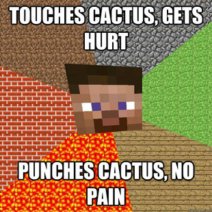 Minecraft