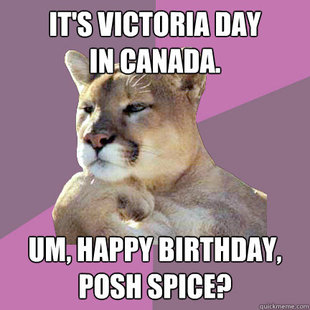Poetry Puma