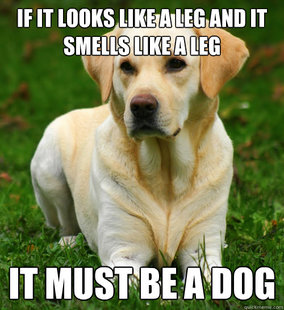 Dog Logic