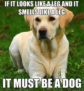Dog Logic