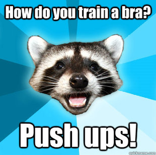 Lame Pun Coon
