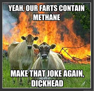 Evil cows
