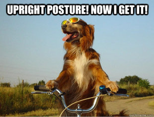 dogbike
