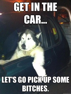 Mean Dog