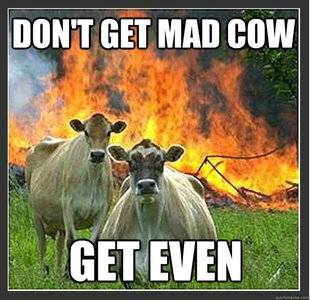 Evil cows