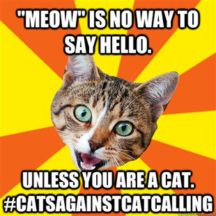 Bad Advice Cat