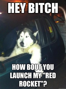 Mean Dog