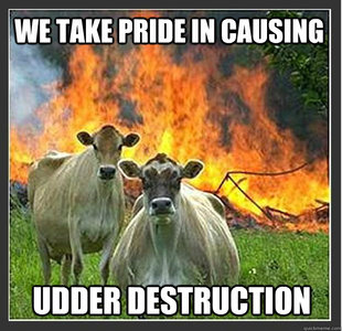 Evil cows