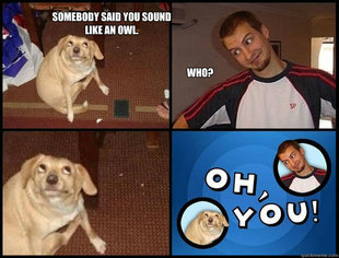 Oh you!