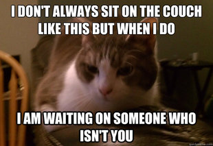 The Most Condesendingly Interesting Cat In The World