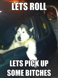 Mean Dog