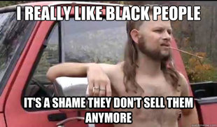 Almost Politically Correct Redneck