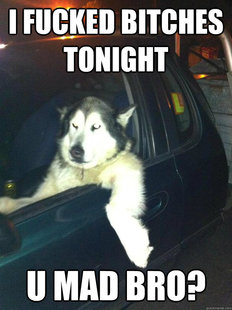 Mean Dog