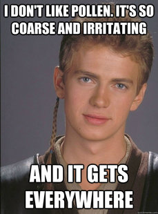 Douchey Anakin
