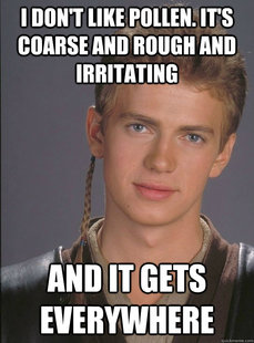 Douchebag Anakin