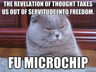 Grumpy Cat