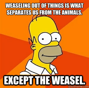 Advice Homer