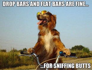 dogbike