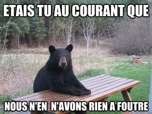 Bear of Bad News